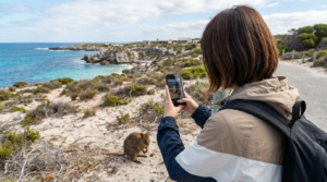 ロットネスト島（クオッカ島）で自撮りをアップしたい！島の電波状況解説