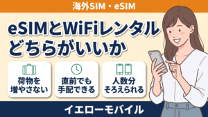 中国eSIMとWiFiレンタルのどちらが向いているかを紹介するイラスト